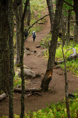 amigas caminando en medio del bosque 