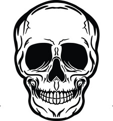 A skull set crossbones cross bone image vector illustrations