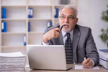 Old male employee working in the office