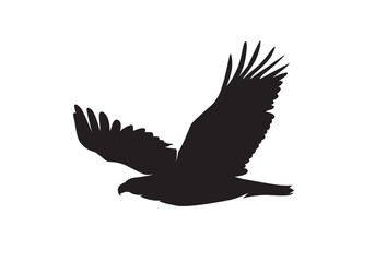 Bald Eagle in flight silhouette vector isolated on white. Flying Eagle icon.