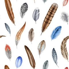 Bird feather seamless pattern on white background. Hand drawn watercolor illustration. Realistic feathers on white background. Different bird plumage feather elements seamless pattern