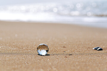 Crystal lies on the sandy seashore.