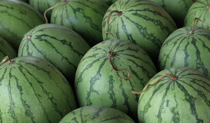 Fototapeta na wymiar A ripe watermelon fruit close up view with the similar size watermelons