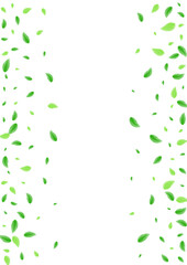 Green Leaves Background White Vector. Plant Twig Design. Simple Illustration. Light Green Environment Texture. Leaf Flavor.