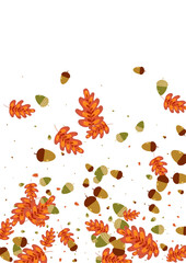 Gold Leaves Background White Vector. Foliage Material Texture. Orange Oak. School Set. Red Herb Border.