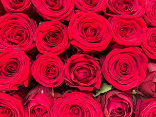 Red Roses Bouquet Pattern Background, Template Greetings Card Banner For Festive Valentine Day Wishes and Women Day