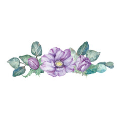 Watercolor hand drawn purple anemones with green leaves isolated on white background.
