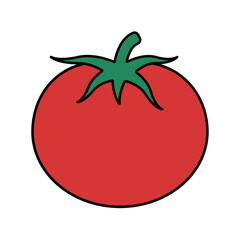 colorful tomato