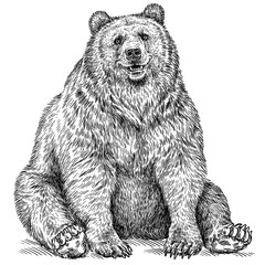 Fototapeta premium Vintage engrave isolated black bear set illustration ink sketch. American grizzly background asian animal silhouette art