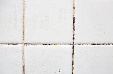 The tiles have mold stains in their grooves