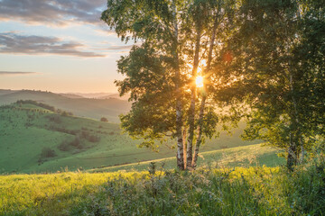 Evening rural landscape, the setting sun shines through the branches, spring nature, meadows and hills
