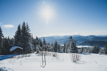 Alpine mountains landscape with white snow and blue sky. Sunset winter in nature. Frosty trees under warm sunlight.  Hiking winter to kralova hola, low tatras slovakia landscape © Zedspider
