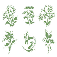 PNG flowers , Wild Flower Illustrations- Flower Vector Graphics