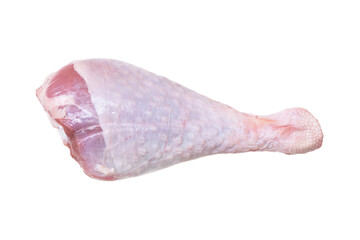 Raw turkey drumstick isolated on white background. Turkey leg isolated.