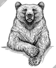 Vintage engrave isolated black bear set illustration ink sketch. American grizzly background asian animal silhouette vector art