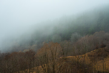 Morning fog in the mountains of Bulgaria in early spring