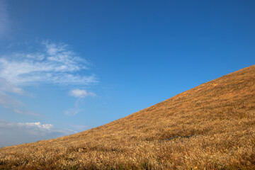 Fototapeta premium Oreum, reeds and blue sky