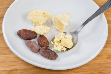 Cocoa beans and pieces of cocoa butter on saucer closeup