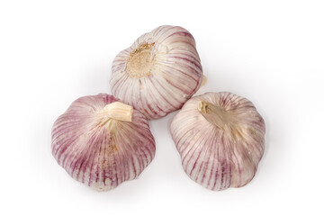 Bulbs of the purple stripe garlic on a white background