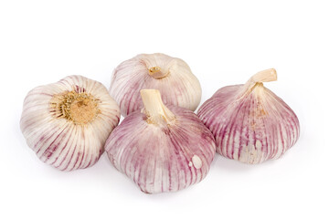 Bulbs of the purple stripe garlic on a white background