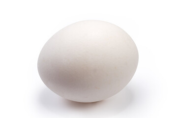 Whole white chicken egg on a white background
