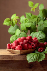 Ripe juicy raspberries with leaves.