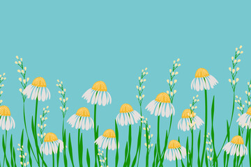 Spring summer hand drawing daisy flower seamless pattern vector in white and blue. Simple flat modern drawing. Floral texture collection for textile and fashion design. Spring botanical print.