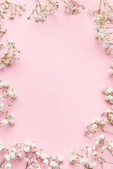 White gypsophila flowers or baby's breath flowers  on pink  background.