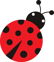 Ladybug or ladybird vector illustration, isolated on transparent background. Cute simple flat design of black and red lady beetle.