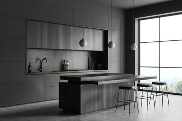 Grey kitchen interior with bar countertop and cooking corner, panoramic window