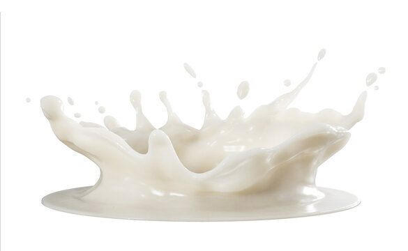 Close up Beauty Milk crown splashing isolate on white background. 3D Rendering. PNG files