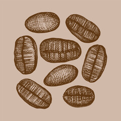 Illustration of coffee beans. Illustration of ripe coffee beans hand drawn.Coffee-coloured.Design element