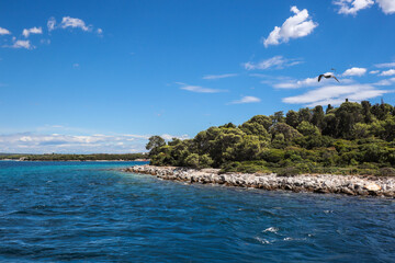 Fototapeta premium Sveti Jerolim Island with Flying Seagull. Brijuni National Park with Adriatic Sea during Summer Day in Croatia.