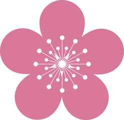Pink Japanese cherry blossoms vector icon.