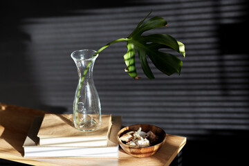 interior and home decor concept - monstera leaf in glass vase, books and seashells on bench over black background