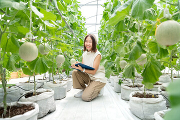 happy asian student woman farmer study use smart technology computer and data in sweet melon,...