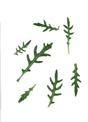 arugula salad on transparent