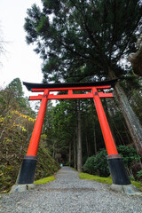日本　京都府京都市の二ノ瀬にある白龍園にある神社の鳥居