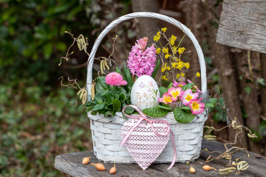 Osterdekoration mit Osterei und pink Fr&uuml;hlingsblumen im Korb