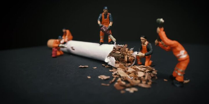 Stop Smoking Rauchentw&ouml;hnung Rauchen verboten