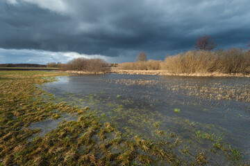 Flooded pasture and dark cloudy sky, Nowiny, Poland