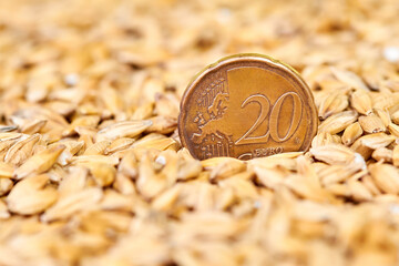 Twenty cent euro coin in barley grains