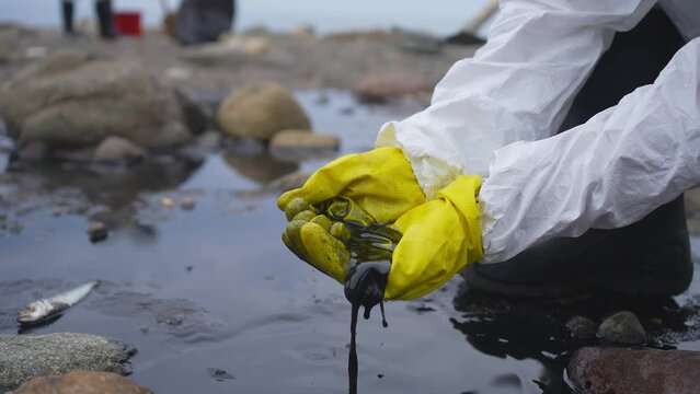 volunteer's hands the problem of oil spill and pollution on the seashore