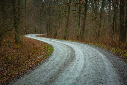 Double bend on the gravel road in the forest