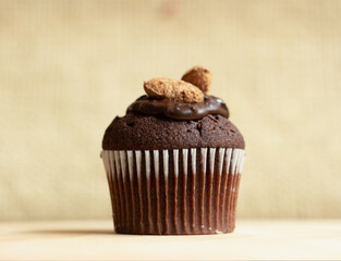 Chocolate muffin with nuts, pastry shop concept