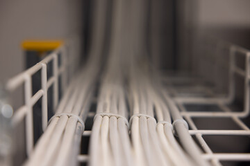 Electrical cables routed in a cable duct with a soft bokeh.