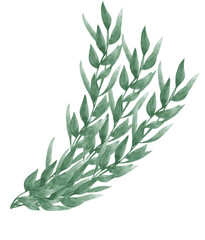 watercolor green leaf foliage wreath frame hand drawn graphic illustration