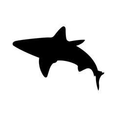 Shark silhouette