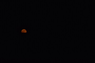 moon in the dark