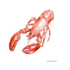  Lobster  , omar,  seafood , crawfish, watercolor,  food illustrations	